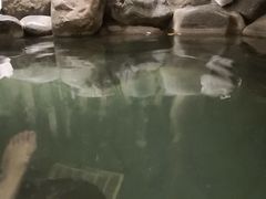 -张家港金凤凰度假村温泉
