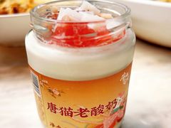 -唐猫庭院·千年陕菜(大唐不夜城店)