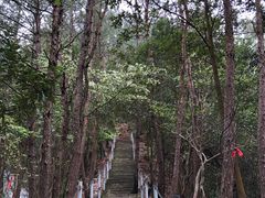 -浏阳石牛寨风景区