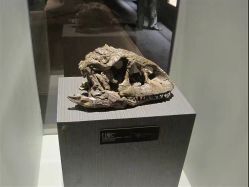 -世界恐龙谷