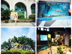 -自贡恐龙博物馆