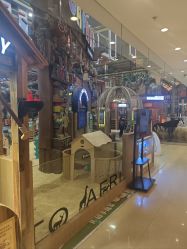 -卡通尼·Safari非洲探索乐园·生日会(金桥国际商业广场店)