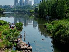 -重庆彩云湖湿地公园