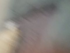 -珍记海鲜粥·海鲜粉
