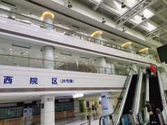 -复旦大学附属中山医院(西院区)