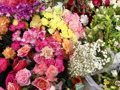 -循礼门鲜花花市(武汉循礼门店)