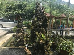 -源泉冷水鱼庄(小鱼洞店)