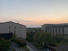 -上海崇明金茂凯悦酒店