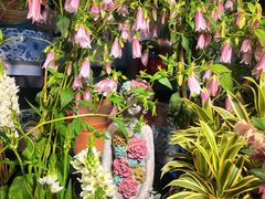 -双季花艺园艺市场(浦东店)