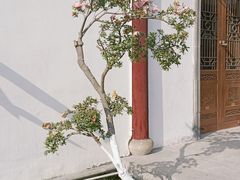 -龙潭水乡