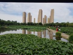 -前关湿地公园