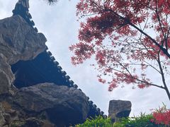 -盆景园(扬州大运河文化旅游度假区)