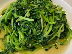 鸡毛菜-金春禧(英雄山路旗舰店)