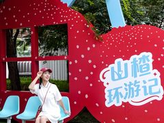 -凤凰汇购物中心