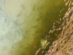 -会江钓鱼钓虾烧烤场