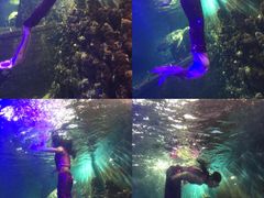 -嘉兴海底世界