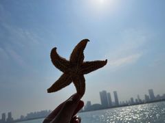 -日照世帆赛基地