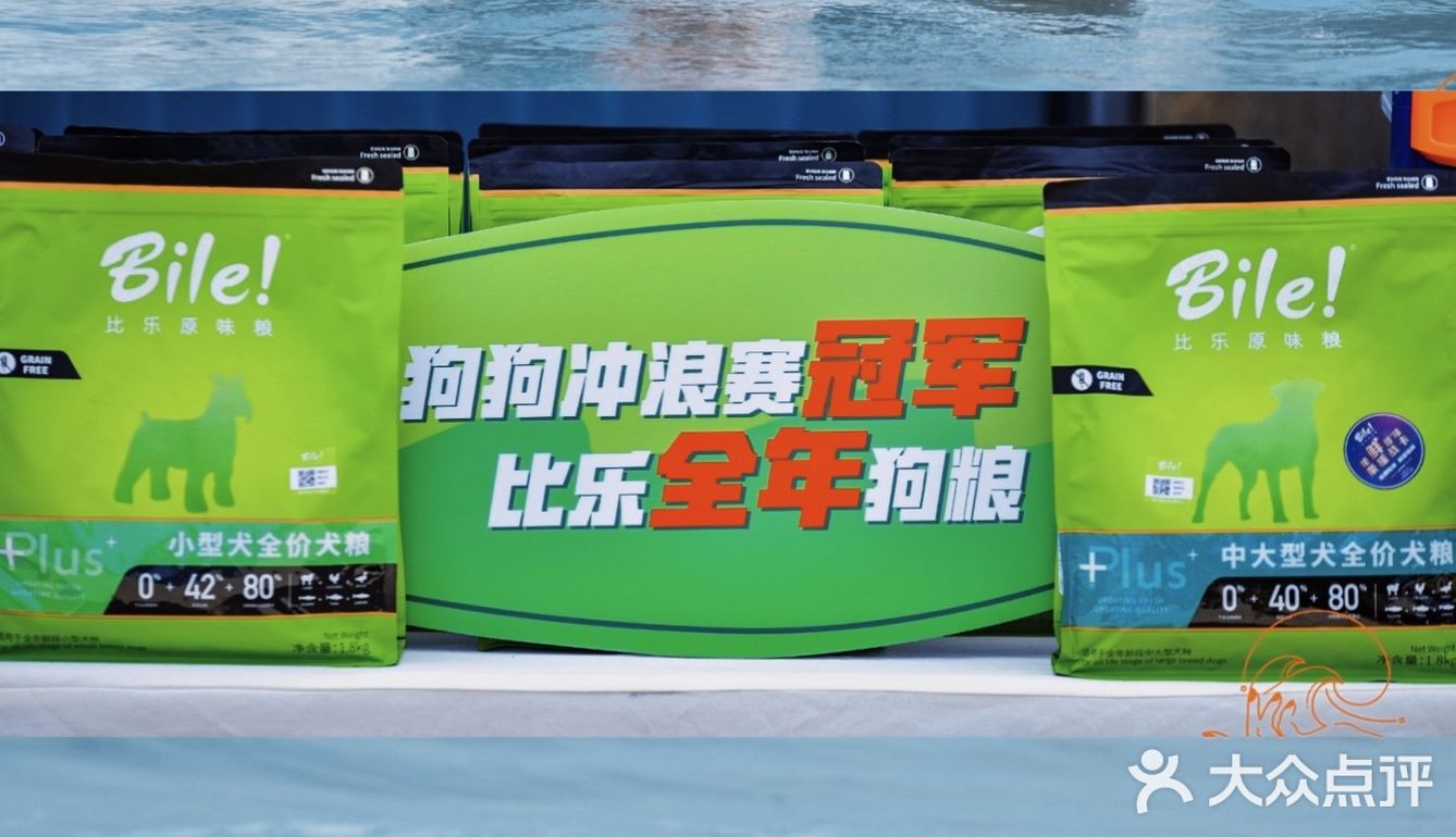 惠州都市女子冲浪节‖海边冲浪🏄游玩攻略