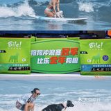 惠州都市女子冲浪节‖海边冲浪🏄游玩攻略