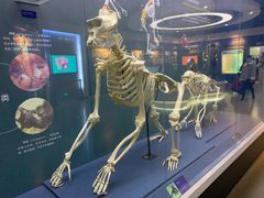 -国家自然博物馆