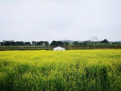 -光明小镇欢乐田园