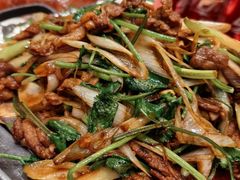 葱爆羊肉-老城南食府(宣武门东大街店)