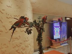 -珠海横琴长隆《卡卡虎奇遇记》