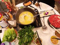 -鲜入围煮花胶鸡海鲜火锅