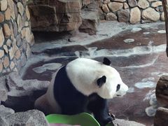 -济南野生动物世界