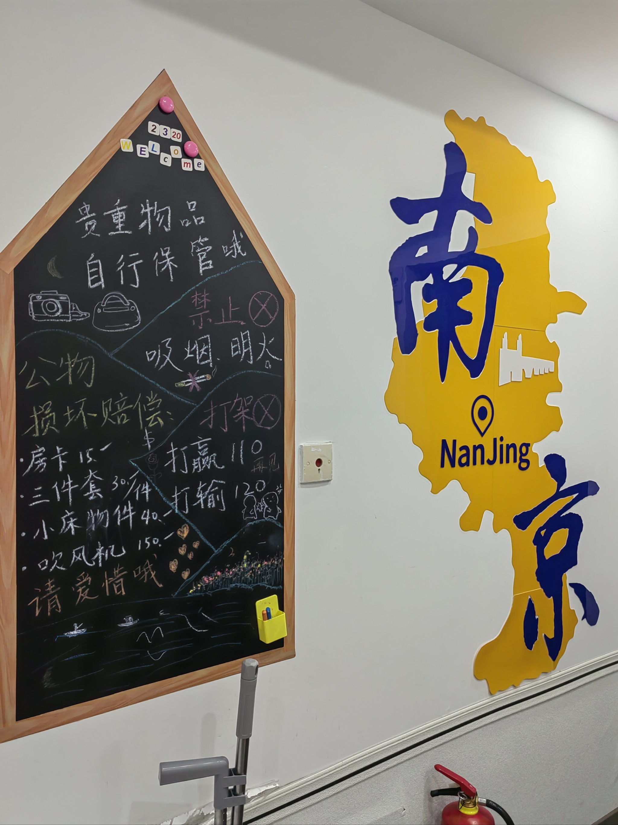 nwiz，内脏器官分布图