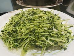 -仙店农庄