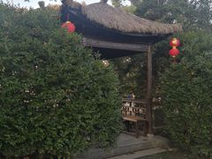 -上海醉白池公园