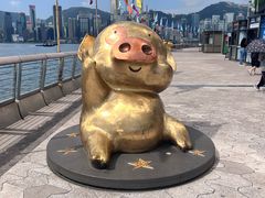 -星光大道