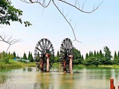 -泗洪洪泽湖湿地景区