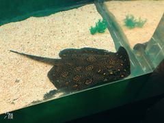 -常州海昌海洋探索馆
