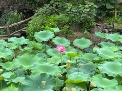 -驿舍·民國老营房院子私房菜(白市驿店)