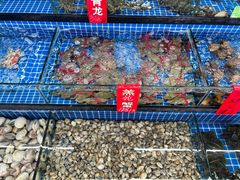 -红月湾海鲜饭店•沙滩海景(双月湾店)