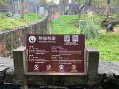 -都江堰中华大熊猫苑