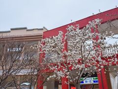 -王府井奥莱临潼小镇(临潼店)