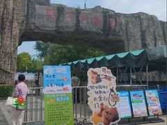 -合肥野生动物园