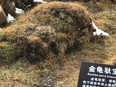 -芦芽山旅游度假区