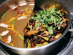 -蓉客成都火锅·招牌麻辣牛杂·特色香辣蹄花(凌水店)
