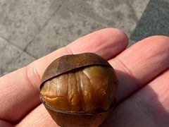 -满谷宝栗(奥林匹克店)