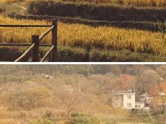 -塔川景区