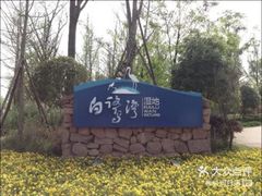 -白鹭湾湿地公园