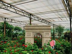 -南宫五洲植物乐园