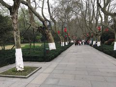 -杭州黄龙洞