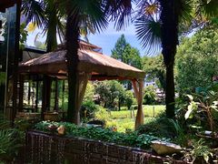 -野蔓果·山野菜(西湖景区·龙井茶田店)