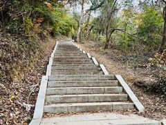 -青龙山国家森林公园