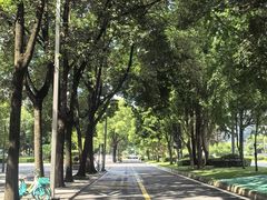 -成都银泰中心in99